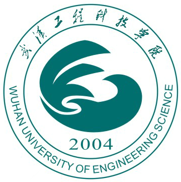 武汉工程科技学院